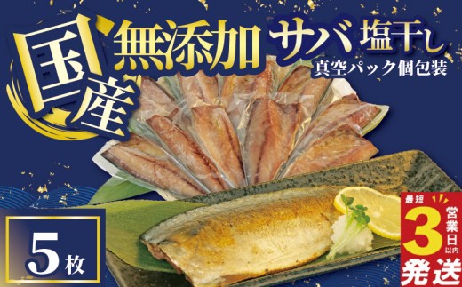 さば 干物 5枚 国産  サバ 塩干し 真空パック 個包装 焼くだけ 簡単調理 3営業日 以内 スピード発送 鯖 ギフト 贈答用 ひもの 惣菜 おかず 静岡 沼津