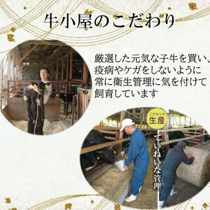 【生産直売】知多牛 響 焼肉セット 上カルビ、バラカルビ、赤身カルビなど合わせて400g(冷凍)【配送不可地域：離島】【1029203】