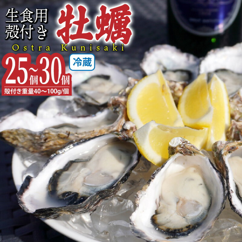 【ふるさと納税】牡蠣 生食用 殻付き Ostra Kunisaki 25 ～ 30個 （殻付き重量40～100g/個）