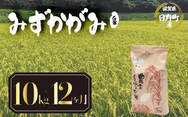 【先行予約】令和8年産 みずかがみ 10kg 定期便 12ヶ月 白米 米 