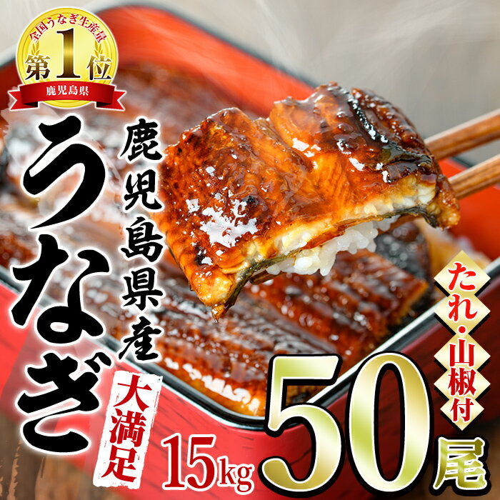 【ふるさと納税】＜大満足＞東串良町のうなぎ蒲焼(無頭)(300g×50尾・計約15000g・タレ、山椒付)うなぎ 高級 ウナギ 鰻 国産 蒲焼 蒲焼き たれ 鹿児島 ふるさと 人気【アクアおおすみ】【5004307a】