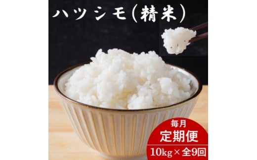 ＜毎月定期便＞岐阜県産ハツシモ(精米) 10kg全9回【4076389】