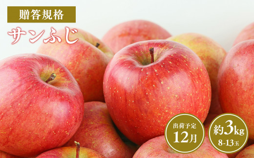 ≪令和7年産先行受付≫12月発送! 贈答規格サンふじ約3kg【青森県 平川市 山内ファーム】 平川市産 青森りんご りんご リンゴ 林檎 ふじ 贈答 贈答品 お取り寄せ 先行予約 果物 くだもの フルーツ 