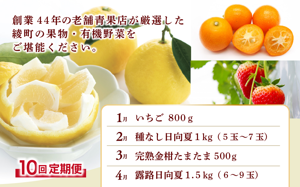 【全10回お届け】宮崎県綾町産 果物・野菜定期便 [X21]_A0113-002