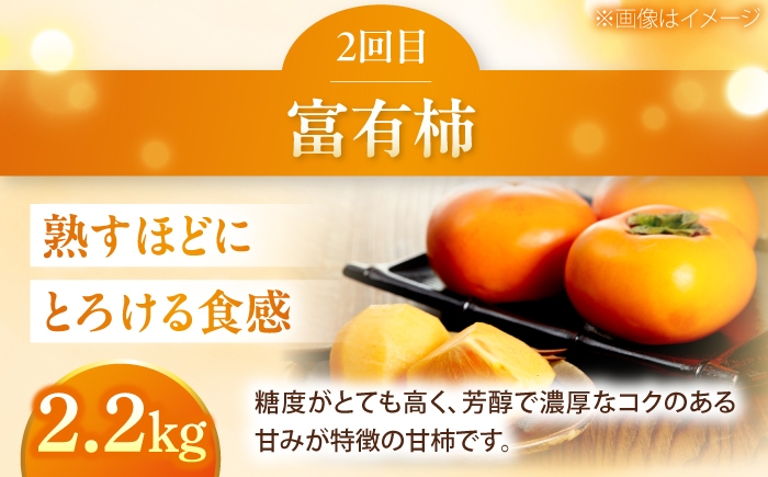 かき カキ ブドウ 葡萄 いちご 苺 イチゴ 果物 フルーツ 国産 産地直送 甘い ジューシー 愛媛 愛媛県 内子町 四国