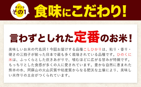 【6ヶ月定期便】 無洗米 ひのくに米 5kg 《お申込み月の翌月から出荷開始》 食品 米 こめ コメ 熊本県産 ふるさと納税 お米 おこめ 熊本