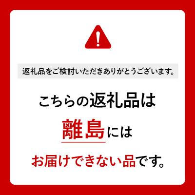 ふるさと納税 美郷町 美郷のミズモ トートバッグ(紺)・ぬいぐるみ・ストラップセット|01_amd-744301 |  | 03