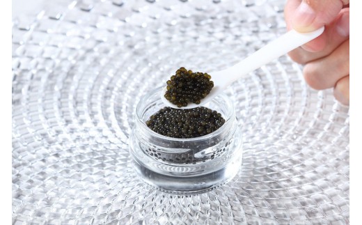 岡山県産 新見 フレッシュキャビア 塩分3.5% 15g (蝶鮫屋)【キャビア 国産 世界三大珍味 珍味 フレッシュチョウザメ 魚卵 岩塩 塩分控えめ 魚介類 濃厚 ギフト 贈答 岡山県】
