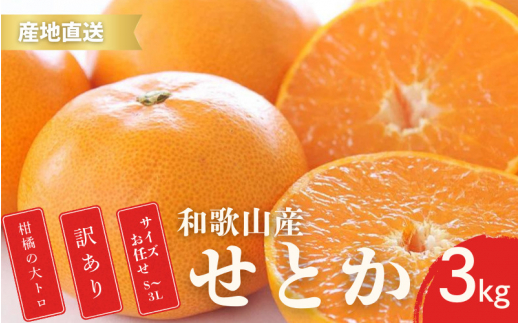 【先行予約】訳あり せとか 和歌山 有田 2S～3Lサイズ混合 3kg 【2月中旬～3月下旬頃に順次発送】/ みかん フルーツ 果物 くだもの 蜜柑 柑橘【ktn015B】