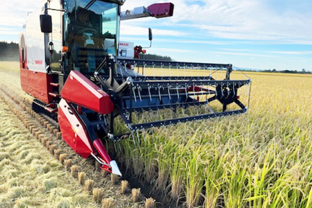 米 新米 令和7年 ななつぼし 玄米 30kg [JA新すながわ 北海道 砂川市 12260852] 令和7年産 お米 農協