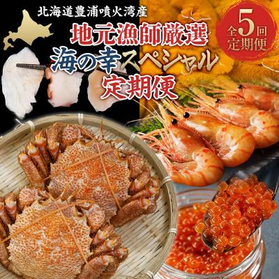 ふるさと納税 豊浦町 【定期便5回】地元漁師厳選 噴火湾産 海の幸 北海道 豊浦 TYUR028