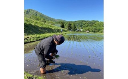 長野県小谷村百姓七人衆のゆめしなの　１０kg