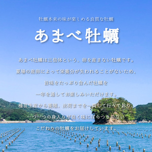 【あまべ牡蠣 10個 ３ヶ月連続定期便】あまべ牡蠣 10個 3ヶ月定期便 30個 牡蠣 シングルシード 生食用 殻付き かき カキ オイスター 生ガキ 生牡蠣 生がき 生かき ギフト 貝 旨味 