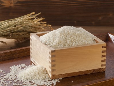 AS-08　星が綺麗な鳥取のお米「星空舞」　4kg