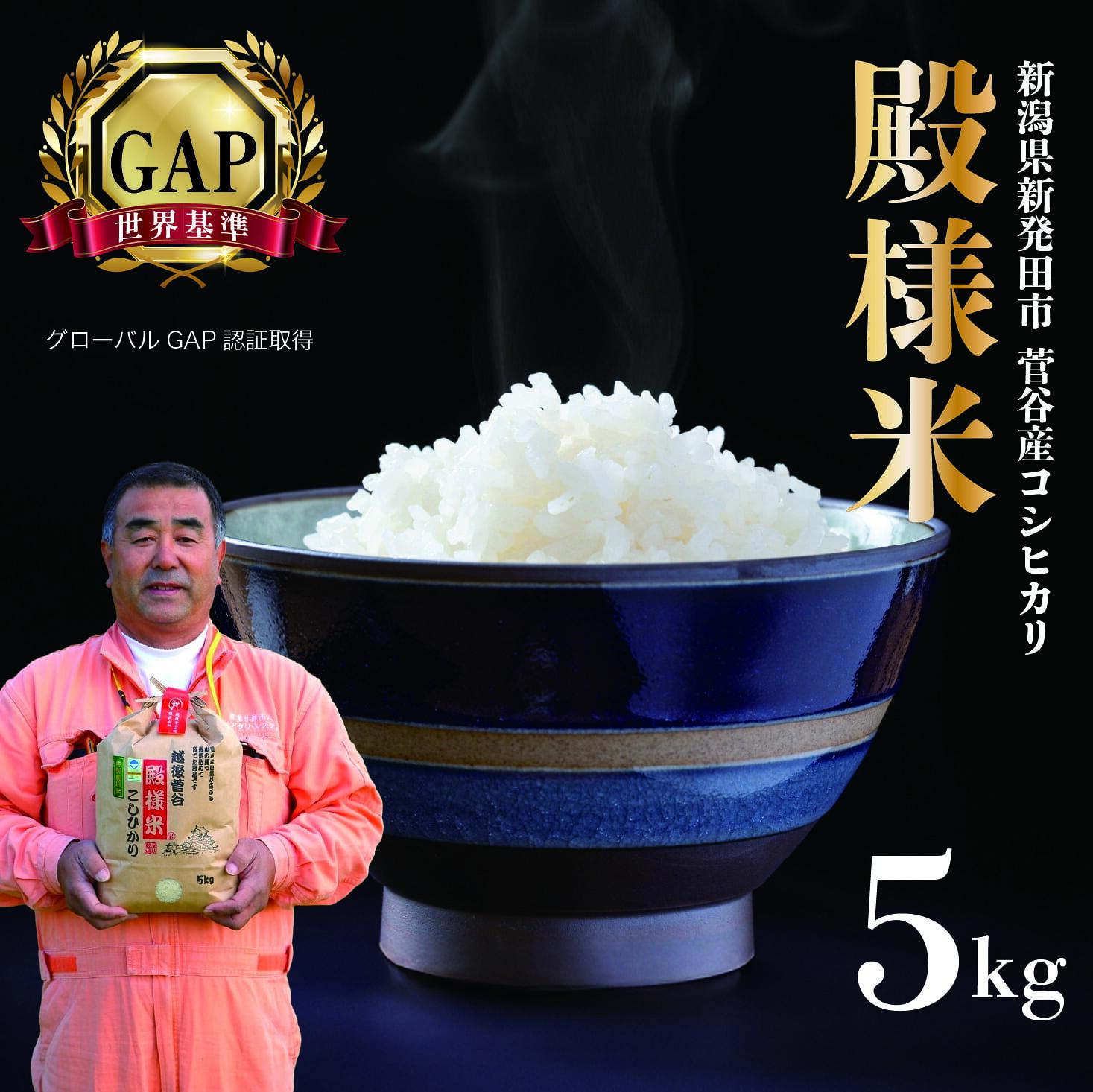 【ふるさと納税】 コシヒカリ 玄米 精米 特別 栽培 特別栽培米 新潟県産 越後菅谷殿様米 5kg 令和7年産 新潟県産 新発田産 米 5kg 越後菅谷 殿様米 コシヒカリ D05_04