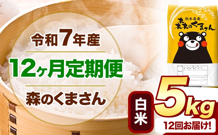 
                  【12ヶ月定期便】 令和7年産 白米  森のくまさん 5kg 5kg×1袋  《お申込み翌月から出荷》 熊本県産 白米 精米 米 こめ コメ お米 kome
                