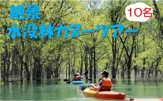 絶景 水没林カヌーツアー（10名様）※3月下旬から5月下旬　