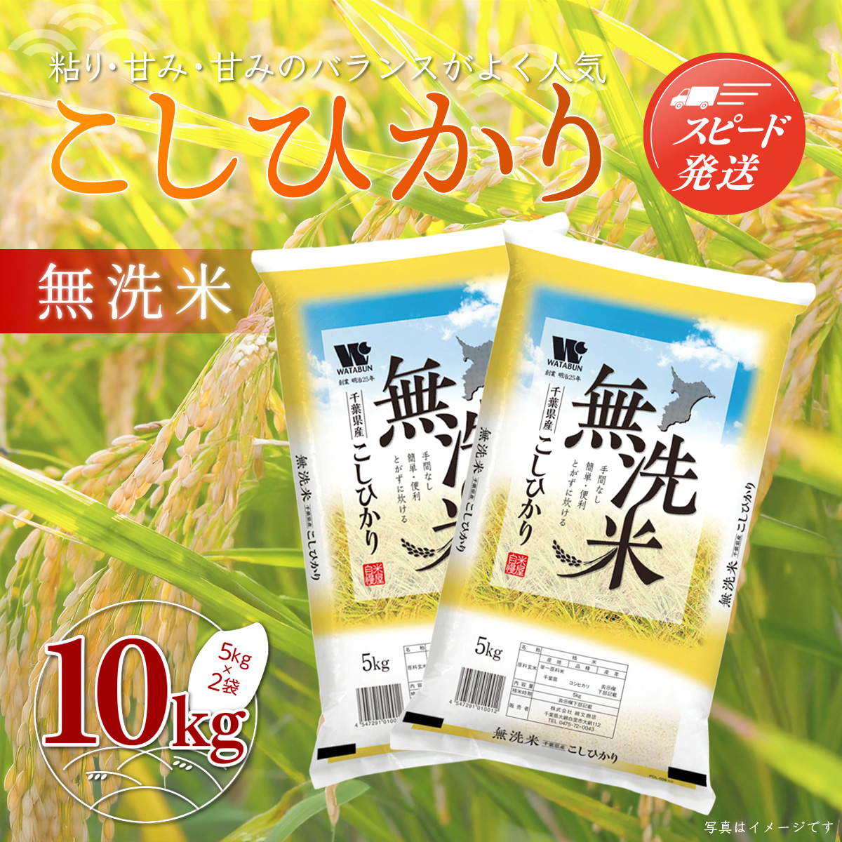 【最短2～7営業日出荷】令和7年産 千葉県産「無洗米コシヒカリ」10kg（5kg×2袋） A041