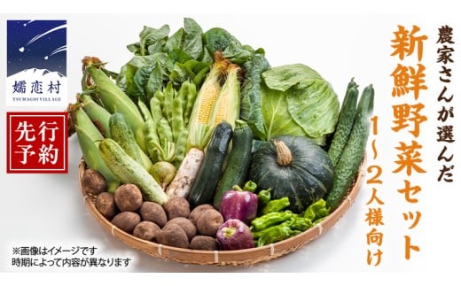 
            【 2026年 8月上旬 発送開始 】キャベツ 入り！農家さんが選んだ 新鮮 高原 野菜 セット 1～2人様向け 先行予約  キャベツ 群馬 野菜 セット 産地直送 詰め合わせ アソート 期間限定 少量 [AN001tu]
          