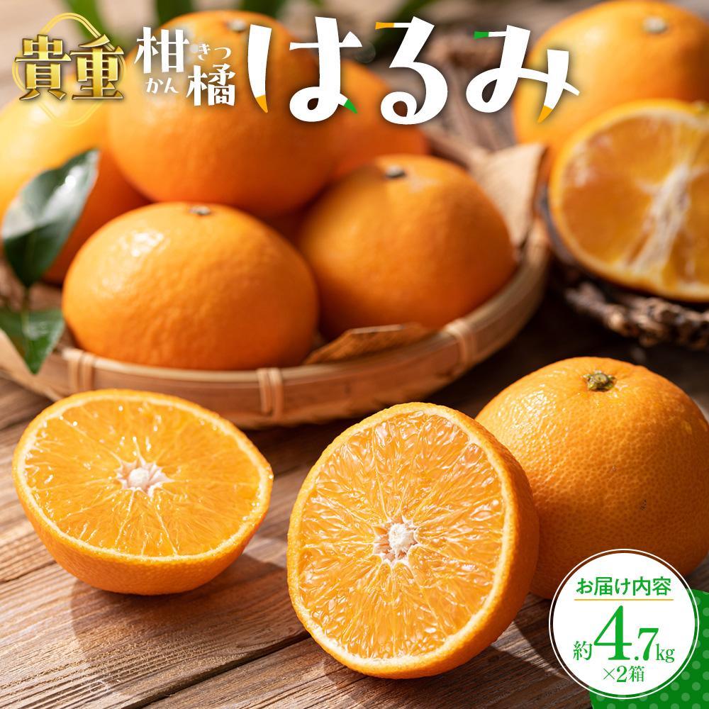 【ふるさと納税】貴重柑橘　はるみ　約4.7kg×2箱【2026年2月上旬～2026年3月中旬配送】 | みかん ミカン 果物 フルーツ 柑橘 プチプチ 弾ける 甘い 大粒 果肉 果汁 たっぷり 爽やか 丸ごと ギフト プレゼント 贈り物