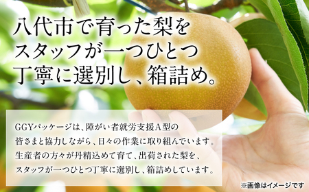 【先行予約】 新高梨 約5kg (5～20玉)  梨 なし ナシ フルーツ くだもの 果物 旬 熊本県 八代市 【2026年9月中旬より順次発送】