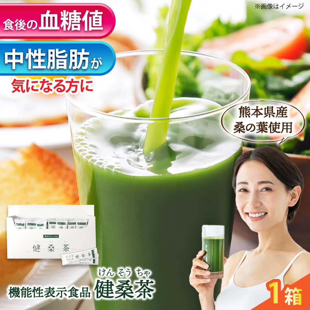 【ふるさと納税】機能性表示食品 健桑茶 1箱【株式会社 峯樹木園】[AYBM004]