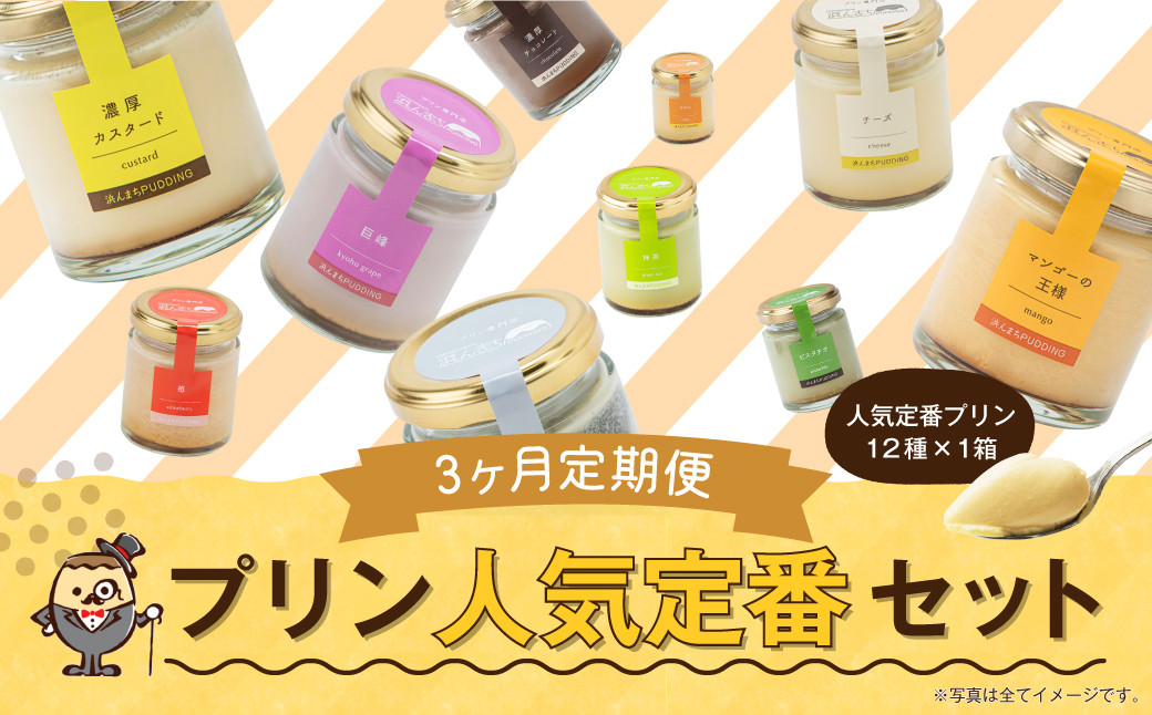 
【3回定期便】 浜んまちPUDDING プリンづくし 12種類 詰め合わせ （通常紙箱） スイーツ お菓子 おやつ
