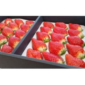 とちひめ　計600g(300g×2パック)【配送不可地域：離島・北海道・沖縄県・中国・四国・九州】【1712831】