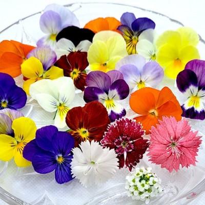 ふるさと納税 播磨町 食用のエディブルフラワー(生花×4パック・ドライ×1袋)・サラダクレソン×1袋【Dセット】 |  | 01
