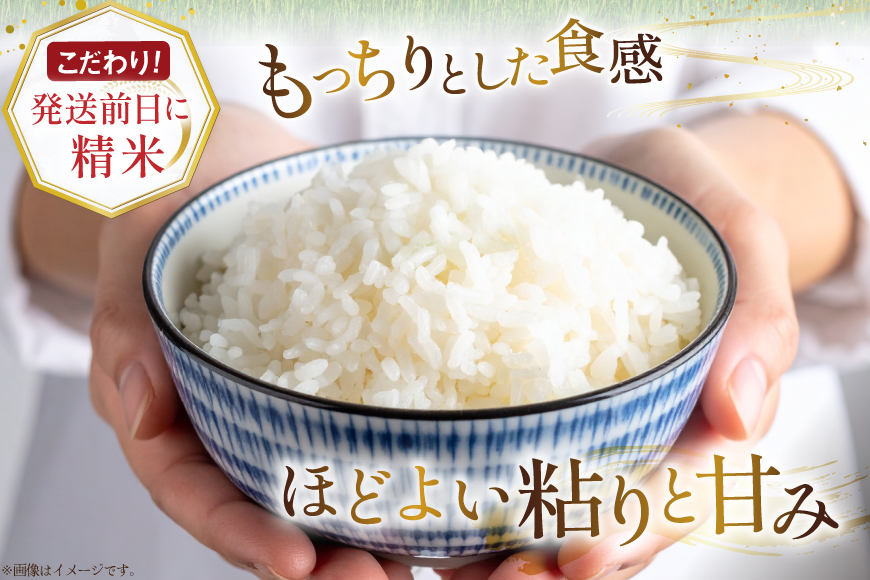 米 令和7年産 ゆめぴりか 5kg×3ヶ月 定期便 計15kg 砂川産 特A [松田産業 北海道 砂川市 12260865] お米 こめ コメ ユメピリカ 精米 おこめ 定期