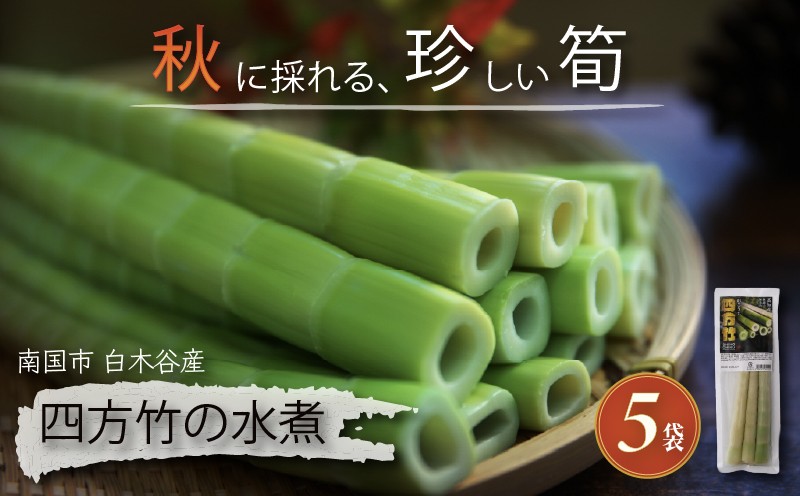 
                  【8月までの受付限定】 国産 四方竹 水煮 120g × 5袋 (2026年11月～発送)  | 秋 筍 たけのこ 竹の子 タケノコ 珍味 希少 煮物 炊き込みご飯 天ぷら 炒め物 常温 高知 南国市
                
