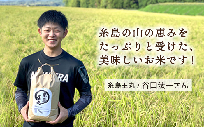 【令和8年産新米】【全6回定期便】糸島産 ヒノヒカリ 10kg×6回 糸島市 / 糸島王丸農園 ( 谷口汰一 )【いとしまごころ】 [AAZ016]