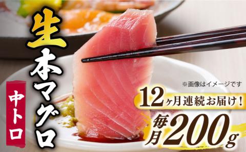 【全12回定期便】【ながさき水産業大賞受賞の新鮮なマグロを冷蔵でお届け！！】 五島列島産 養殖 生本かみまぐろ 中トロ 200g【カミティバリュー】 [RBP028]