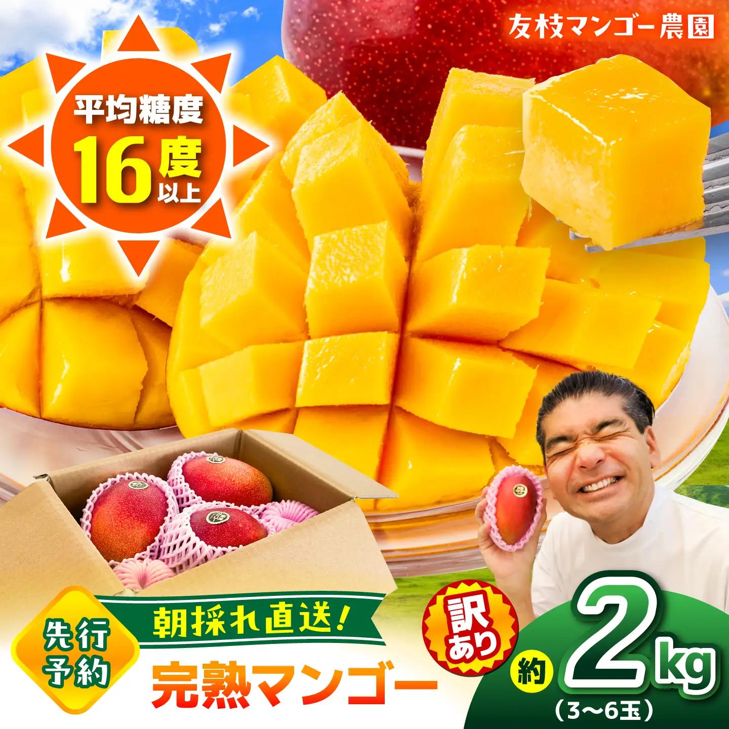 【2027年6月上旬から順次発送】友枝マンゴー農園の完熟訳ありマンゴー約2kg AYDF002