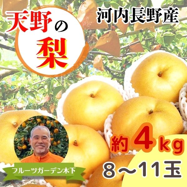【ふるさと納税】＜2025年9月～発送＞【河内長野産】天野の梨　8~11玉 期間限定 フルーツ 果物 なし 旬 河内長野 送料無料 ※発送前の注意事項を十分ご確認ください※