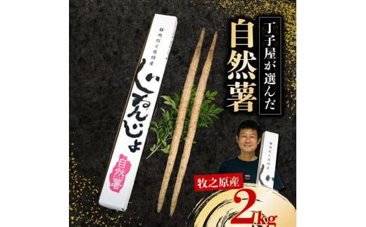 074-8　【R7年12月上旬からの発送】　丁子屋が選んだ 自然薯 台地のご馳走 2kg 新鮮 健康 長寿 とろろ 静岡県 牧之原市 ヤマゴ増田製茶
