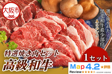 高級和牛特選焼き肉 500g 和牛_OS266-0002
