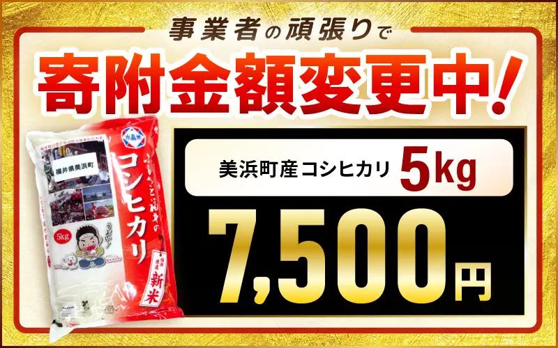 【先行予約】【令和7年産】米 コシヒカリ 5kg × 1袋 精米 福井県美浜町産【2026年8月下旬発送予定】 [m60-a019_08]