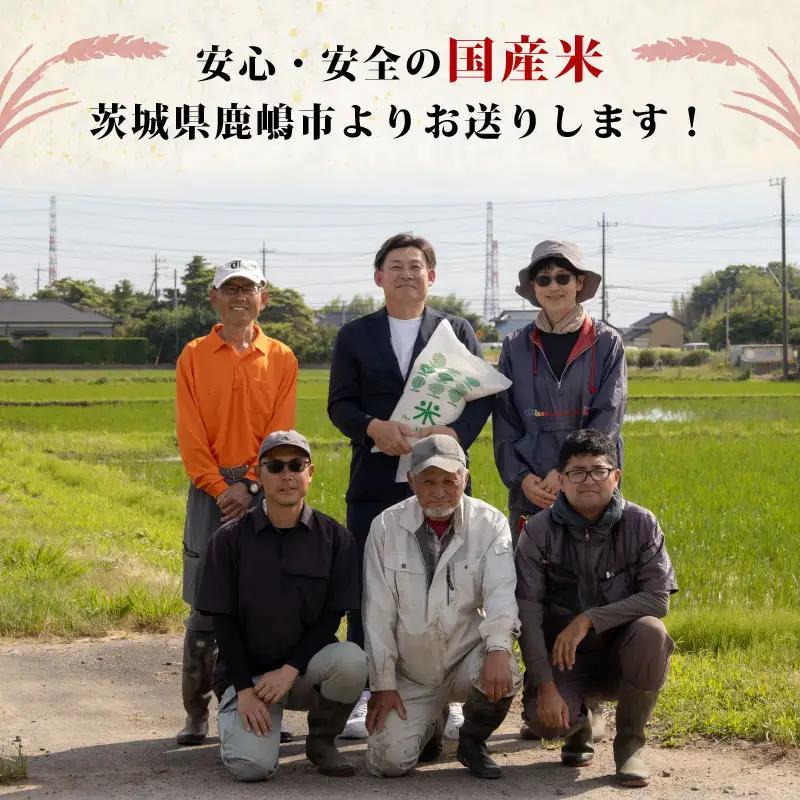 新米あきたこまち 10kg 先行予約 あきたこまち 精米 kome