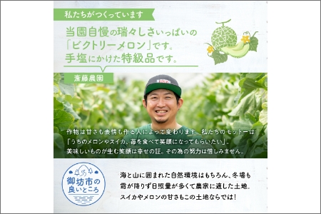 【0247-4】斎藤農園ブランド「ビクトリーメロン」アールスメロン(マスクメロン)1玉 1.5kg程度≪先行予約2026年6月下旬以降発送分≫