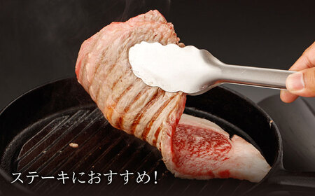【6回定期便】佐賀牛 ロースステーキ・サイコロステーキ セット 計500g【一ノ瀬畜産】[NAC150] 佐賀牛 黒毛和牛 牛肉 佐賀 嬉野 牛肉焼肉 牛肉焼き肉 牛肉BBQ 牛肉ロース 牛肉サイコロ