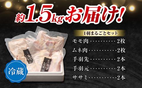 【朝びき！】信州黄金シャモ1羽まるごとセット