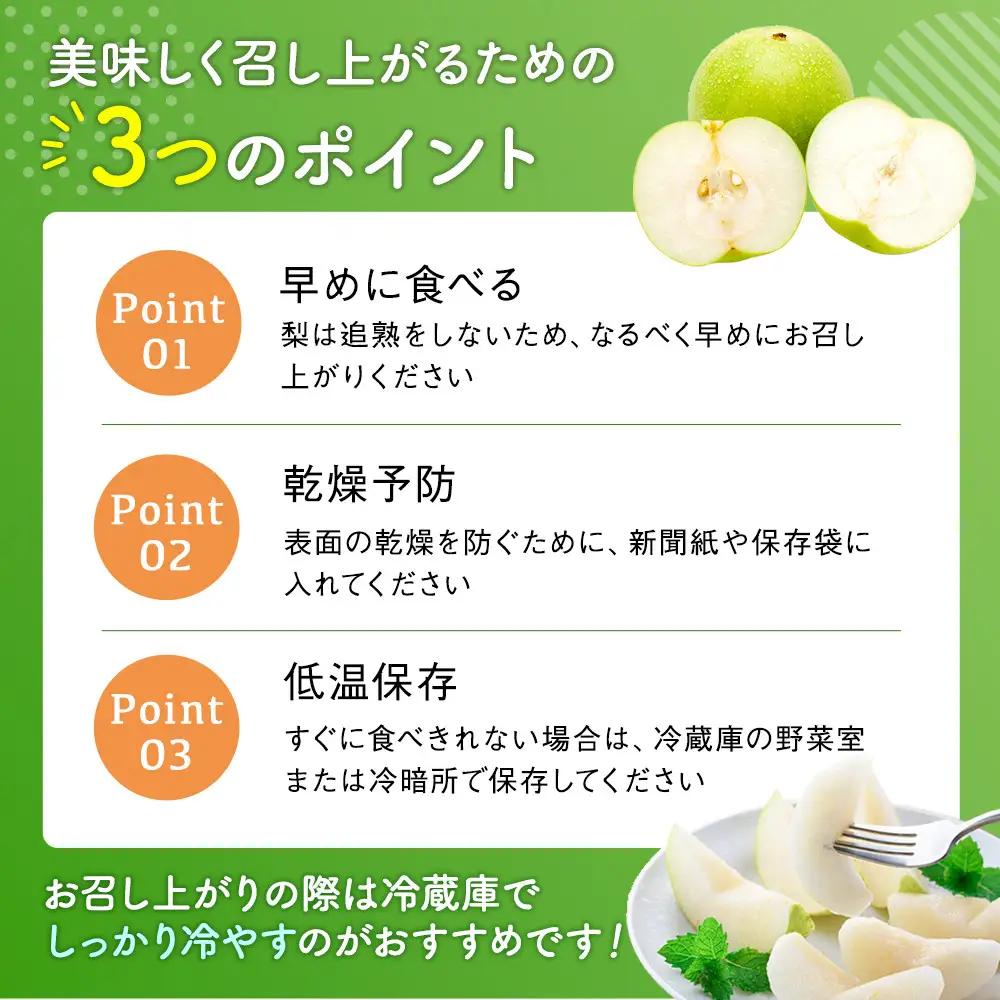 二十世紀梨 有梨の実石田 二十世紀梨 (自家用)5kg 8月下旬以降お届け
