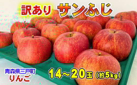 【訳あり】りんご【サンふじ】約5kg（14～20玉）【2025年産・先行予約】★2026年1月以降順次発送予定★ 青森県三戸町産