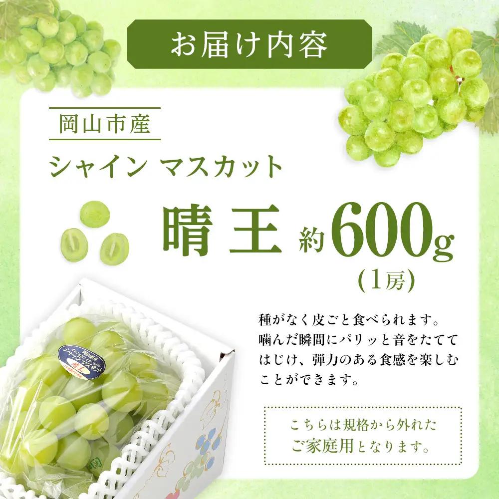 ぶどう 2026年  ご家庭用 シャインマスカット 晴王 約600g×1房 葡萄  岡山県産 国産 フルーツ 果物 | シャインマスカット