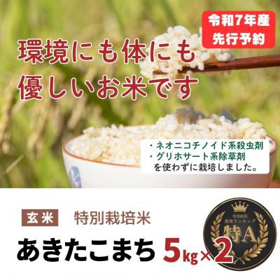 ふるさと納税 大仙市 令和7年産「特別栽培米あきたこまち」玄米5kg×2袋(計10kg) おこめのさわた 秋田県産