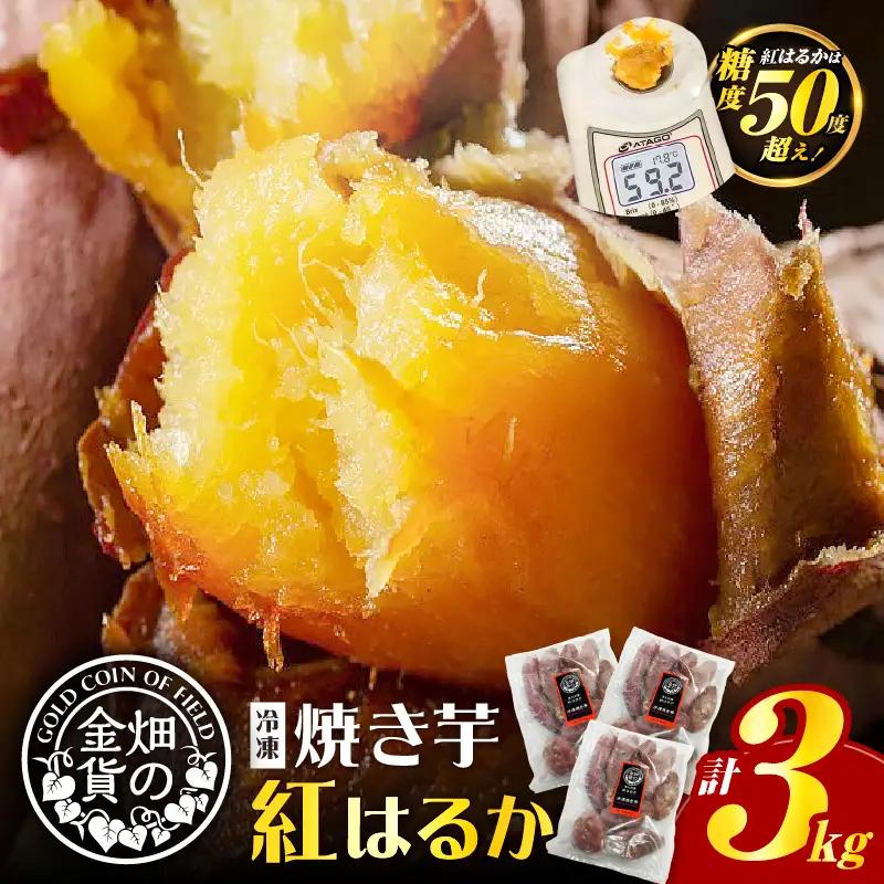 畑の金貨 焼き芋 紅はるか 3kg K181-001_01 冷凍