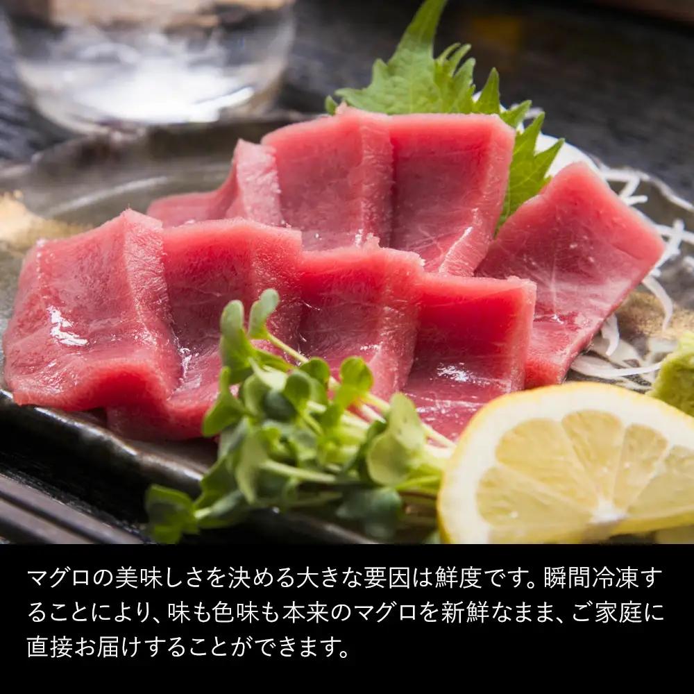 本マグロ お刺身 赤身 5人前 (800g) | 本マグロ 津久見市