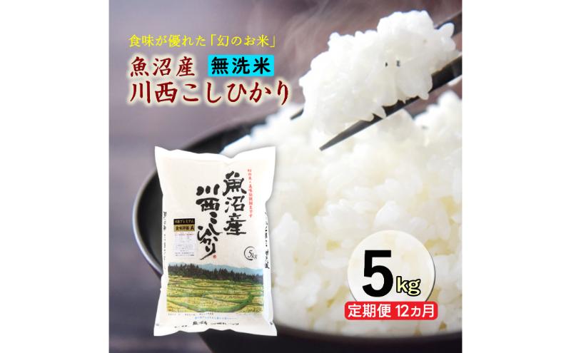 【定期便／12ヶ月】無洗米 魚沼産川西こしひかり5kg お米 コシヒカリ 魚沼産コシヒカリ 魚沼産こしひかり 