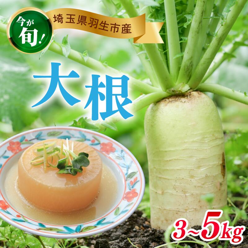 【ふるさと納税】 大根 3~5kg 数量限定 期間限定 野菜 だいこん 煮物 鍋 漬物 葉 根菜 大根おろし サラダ daikon yasai 国産 ベジタブル 冬野菜 産地直送 萩原農園 埼玉県 羽生市